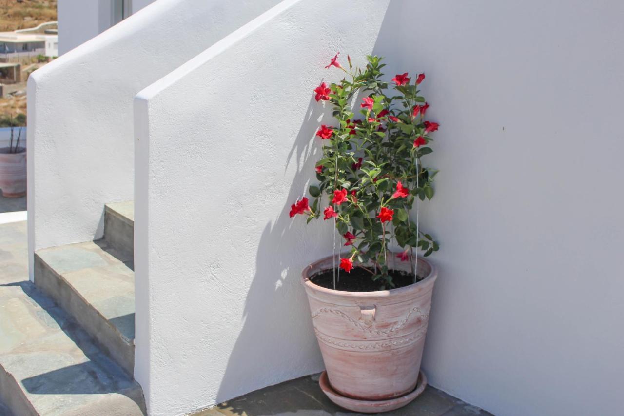 Crystal View Mykonos Aparthotel Mykonos Town Εξωτερικό φωτογραφία